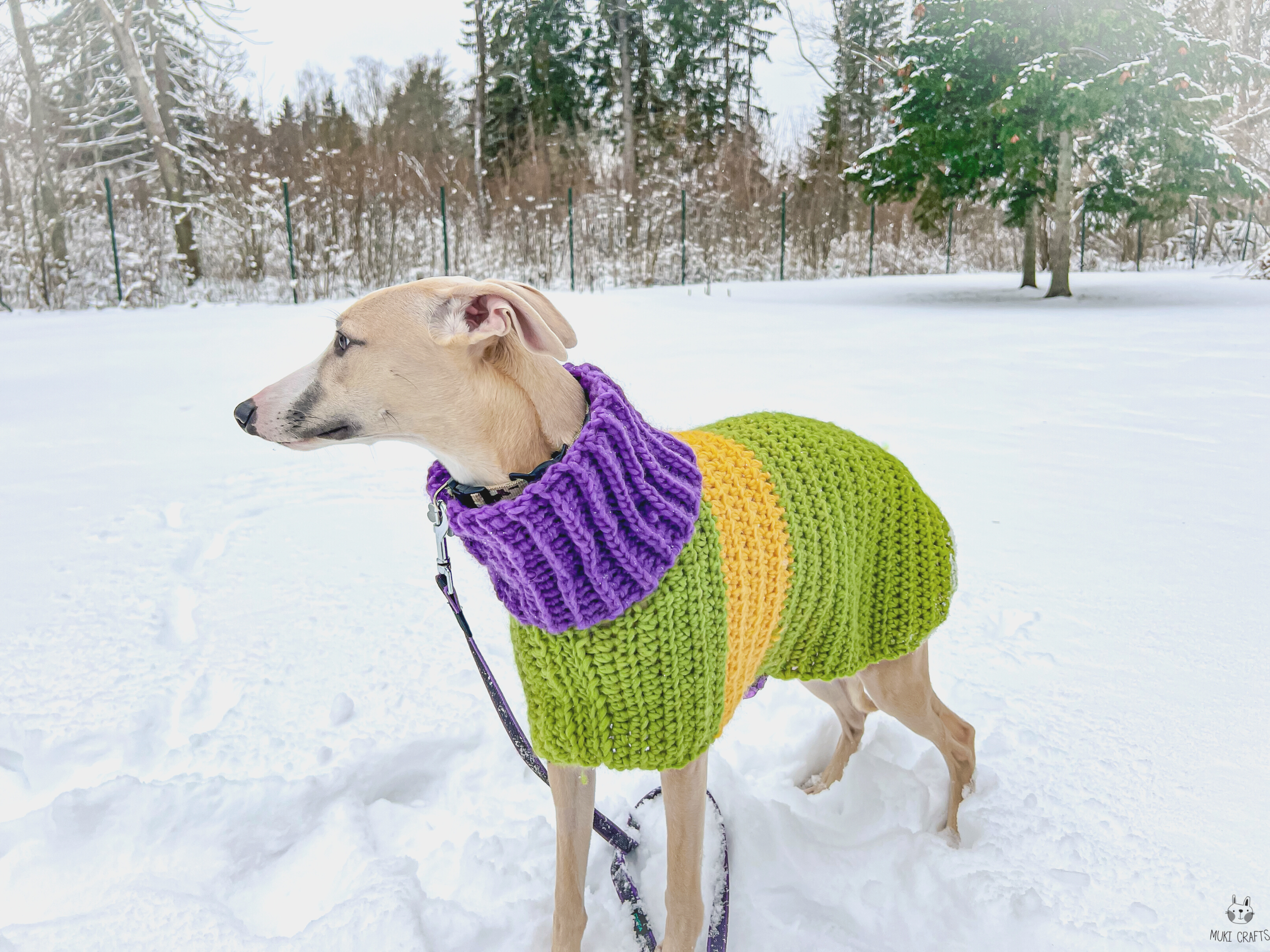 Whippet top sweater pattern